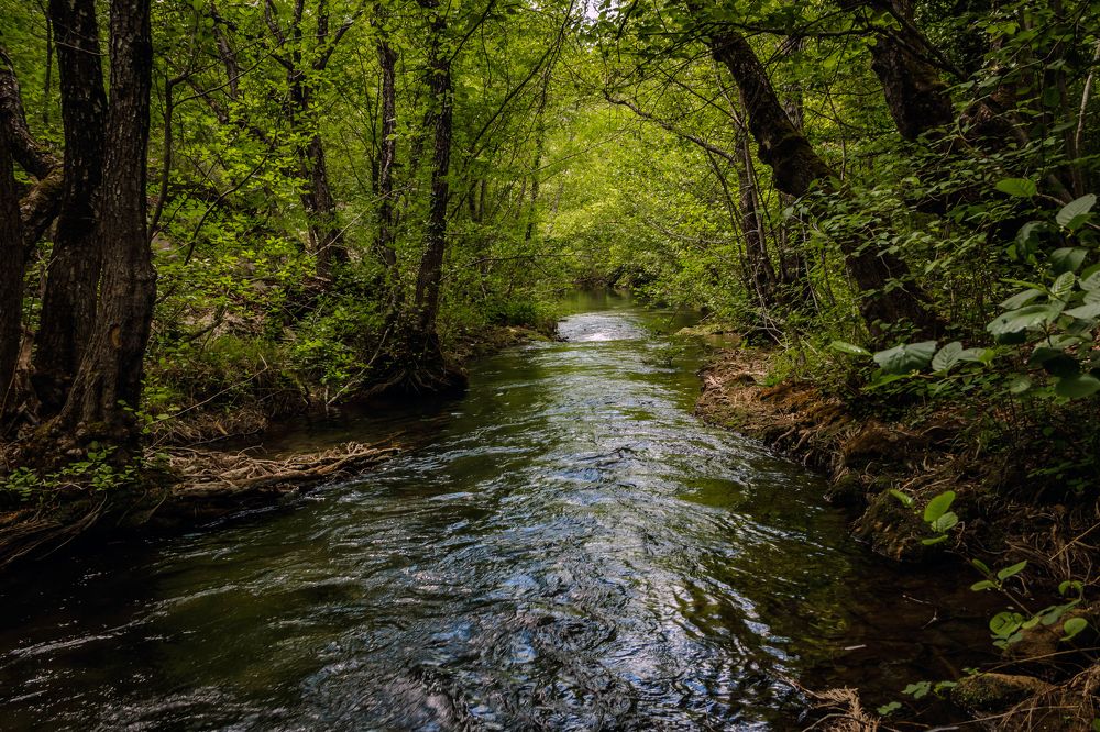 Photograph by Игорь Сидун