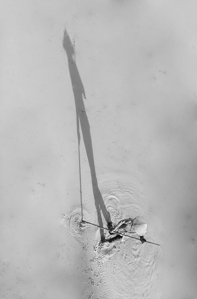 Photograph by Nguyễn Tấn