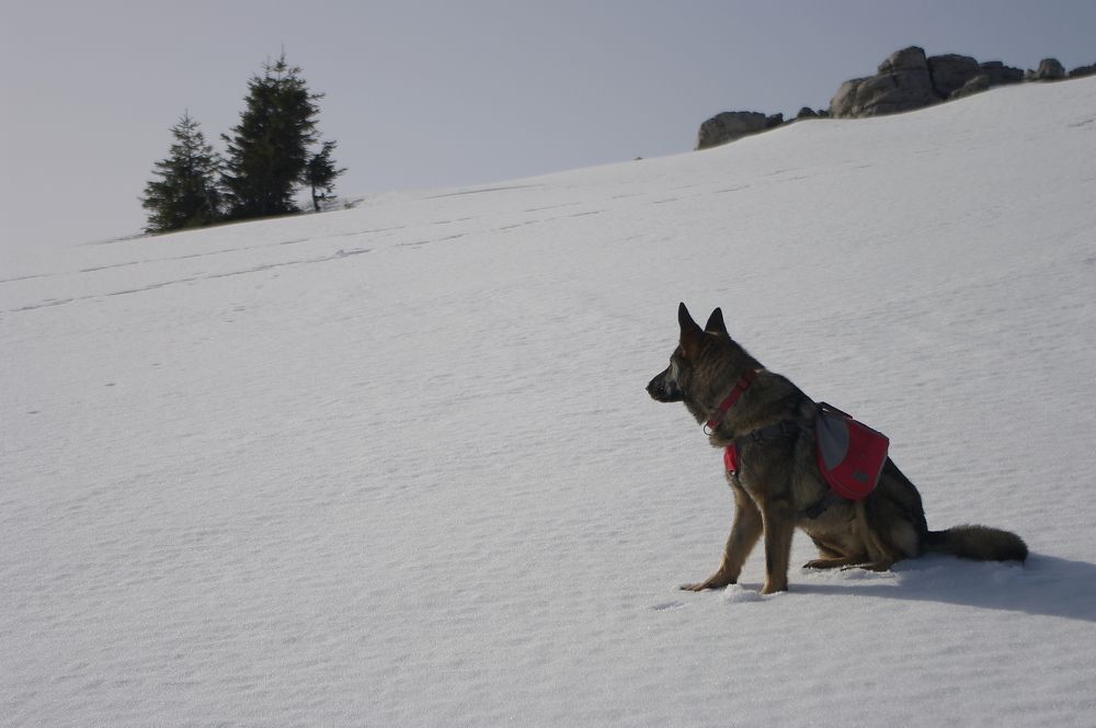 Photograph by Alba Zoe Gržin