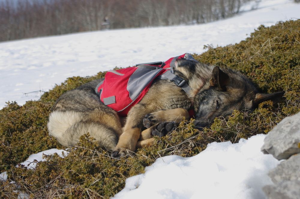 Photograph by Alba Zoe Gržin