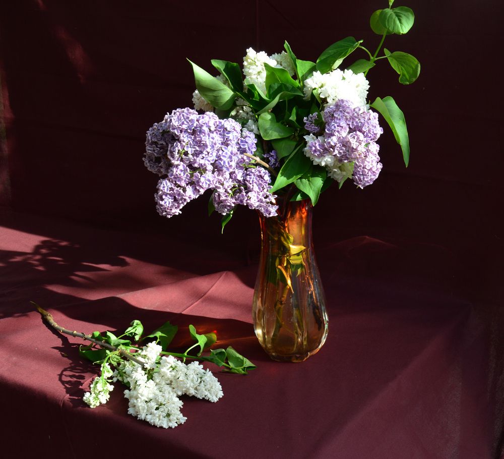 Photograph by Юрий Солодовников