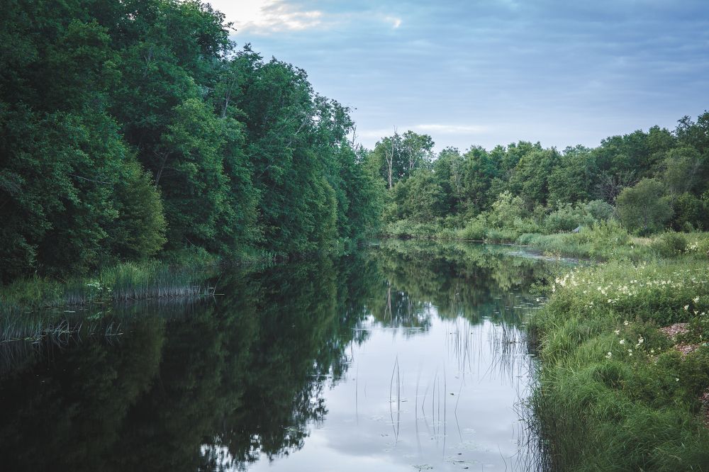 Photograph by Наталья Катюжанская