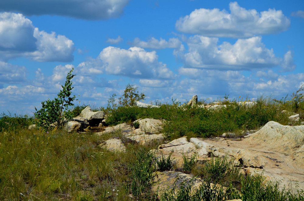 Photograph by Ольга Мокрова