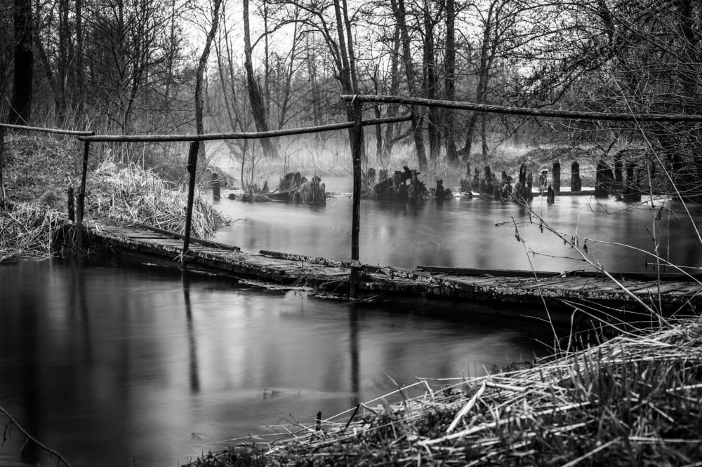 Photograph by Алексей Худяков