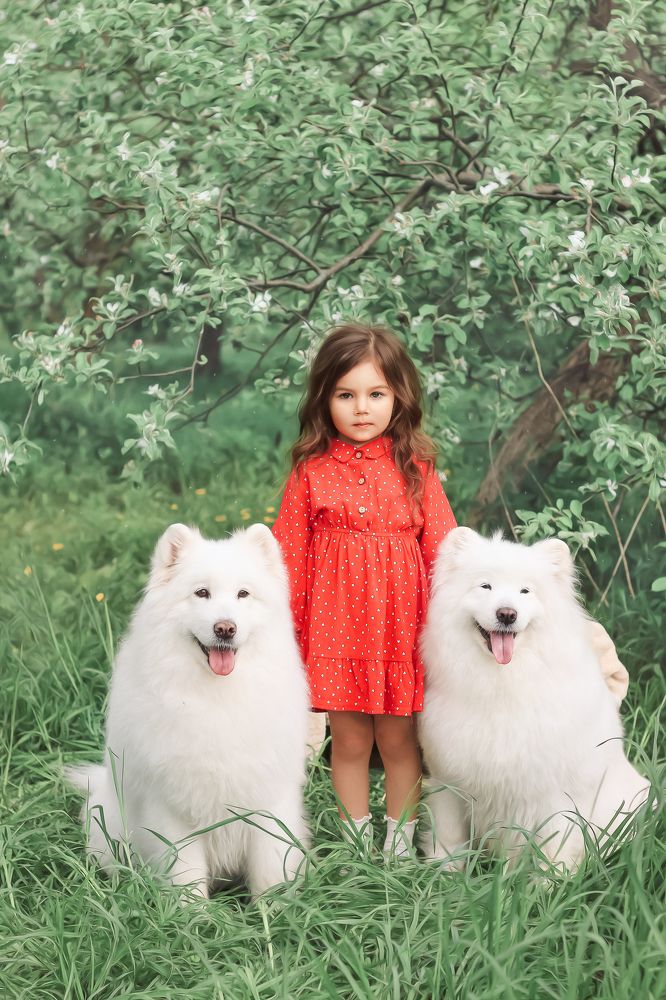 Photograph by Катерина Скрипник