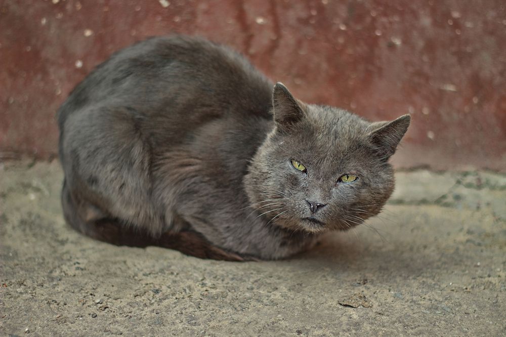 Photograph by Мари Полищук