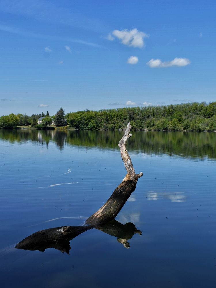 Photograph by Alexis Anciaux