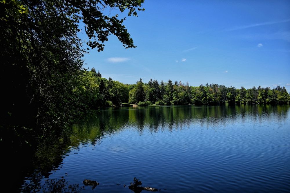 Photograph by Alexis Anciaux