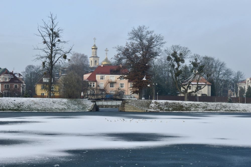 Photograph by Elena Ibragimova