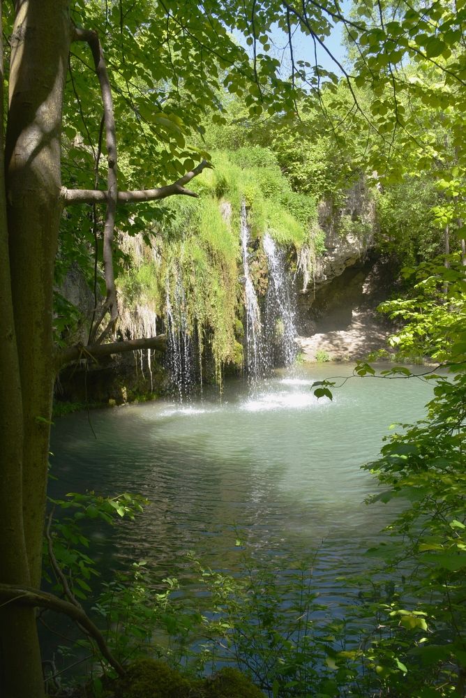 Photograph by Ольга