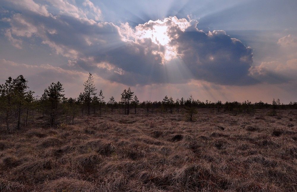 Photograph by Юрий Яковлев