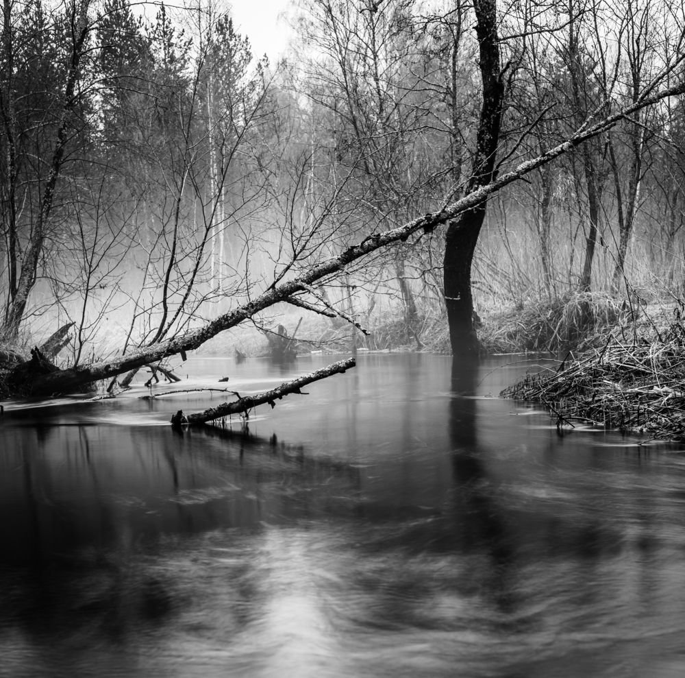 Photograph by Алексей Худяков