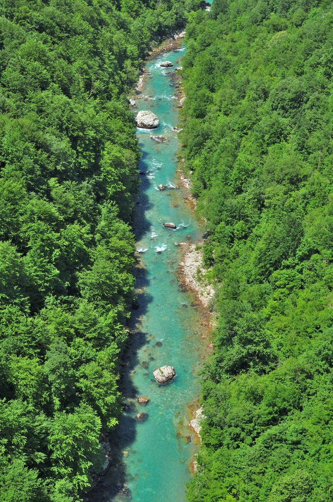 Photograph by Евгений