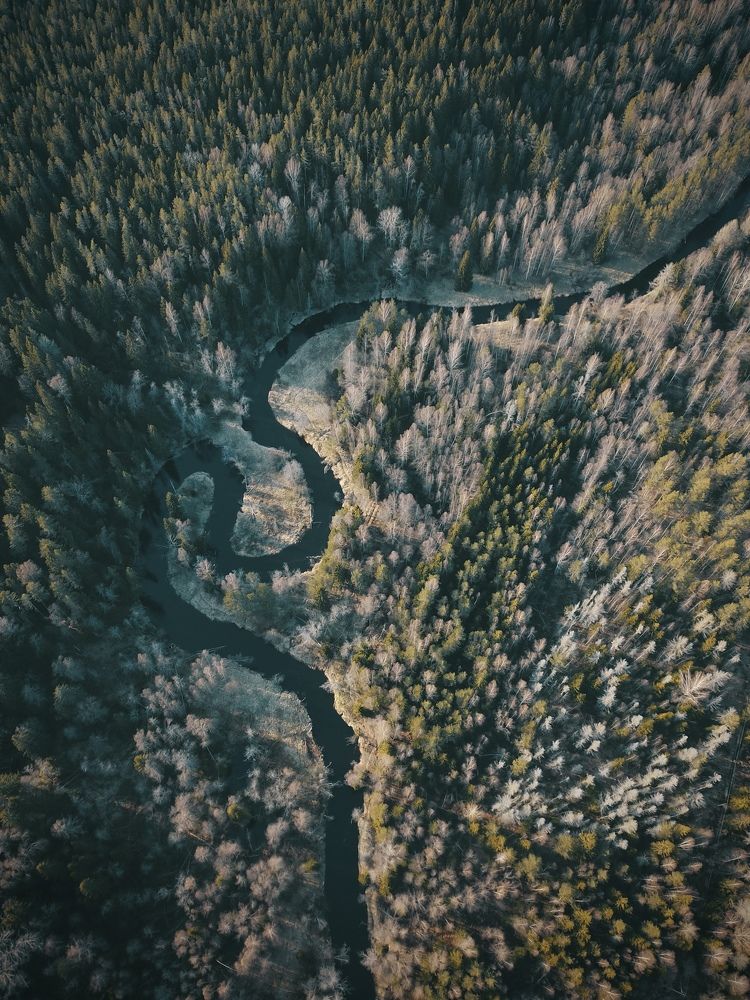 Photograph by Дмитрий Копылов