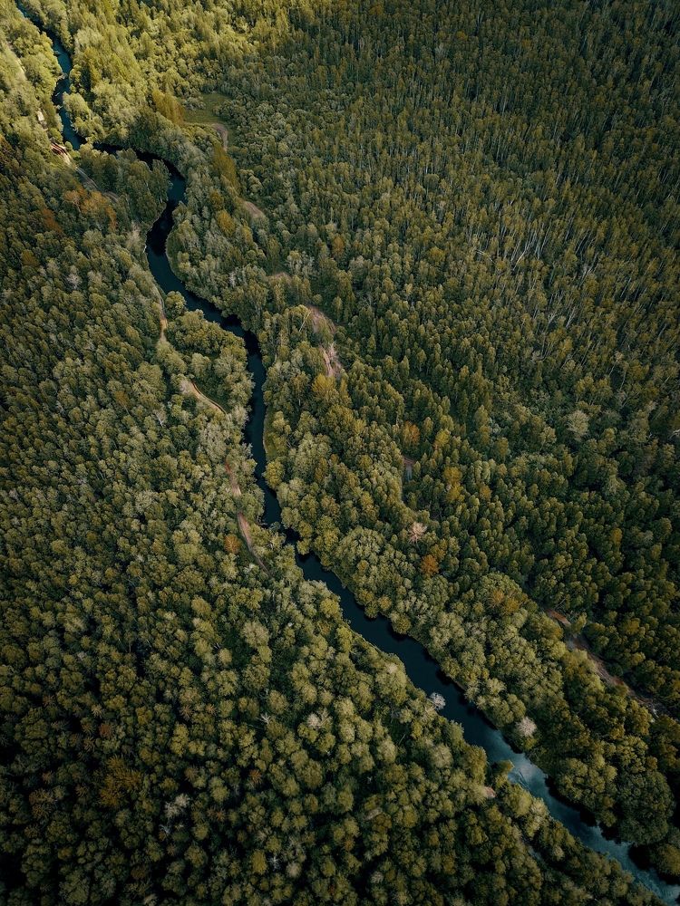 Photograph by Дмитрий Копылов