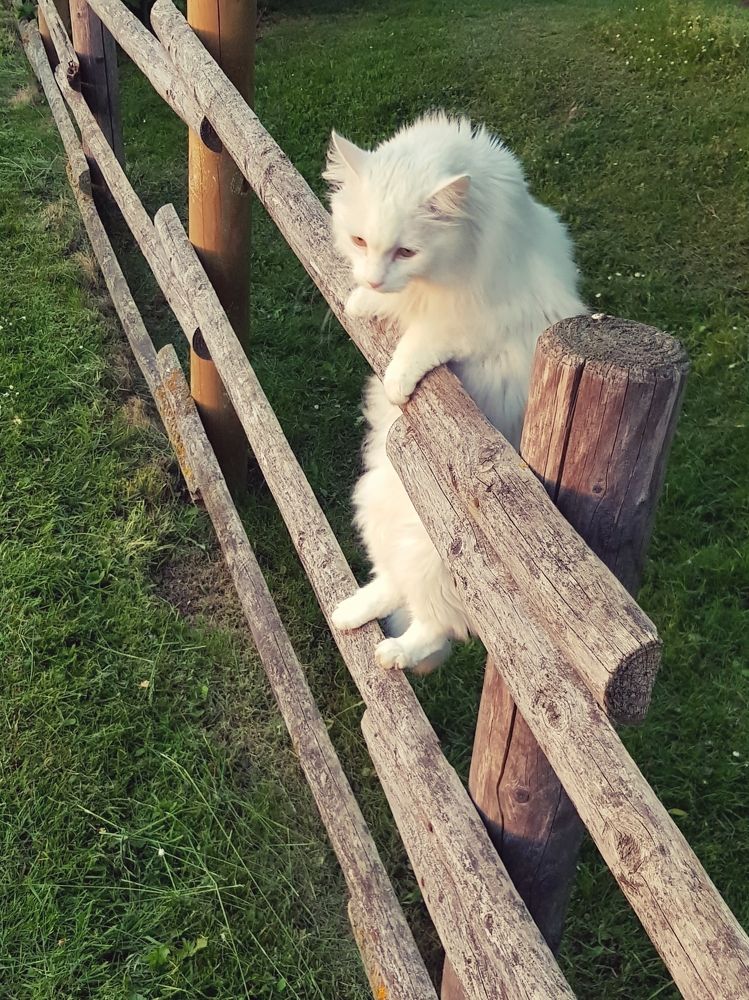 Фотография автора Mia Bernhardt