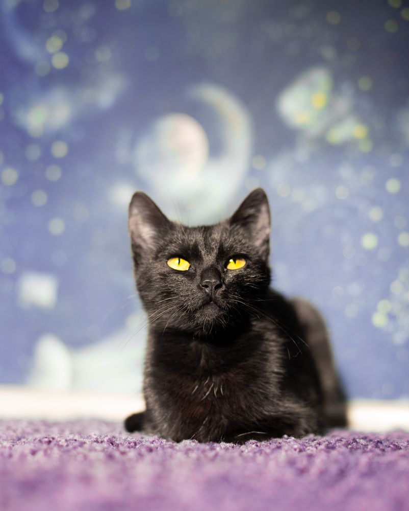 Фотография автора Пётр Бабин