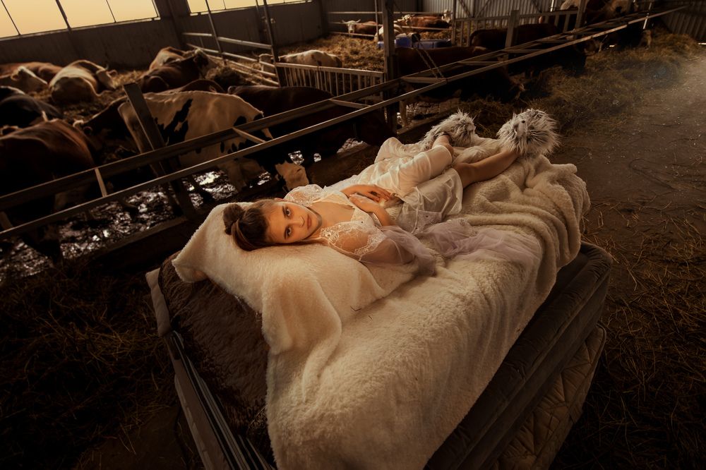 Принцесса в хлеву