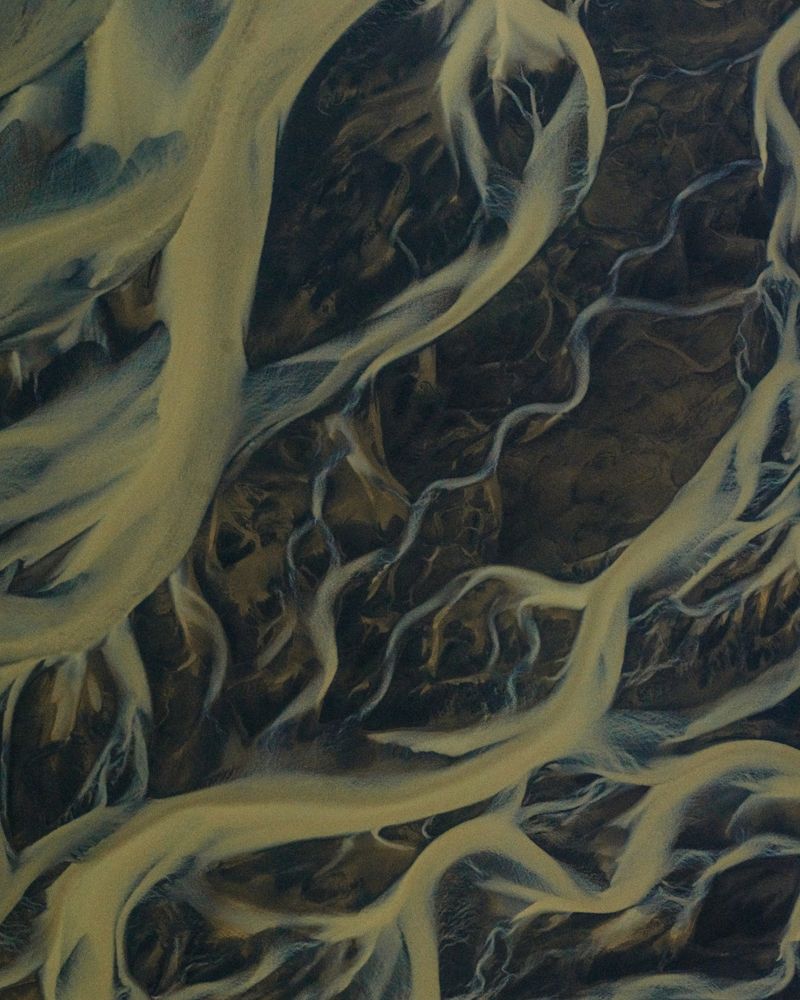 Photograph by Misha Martin