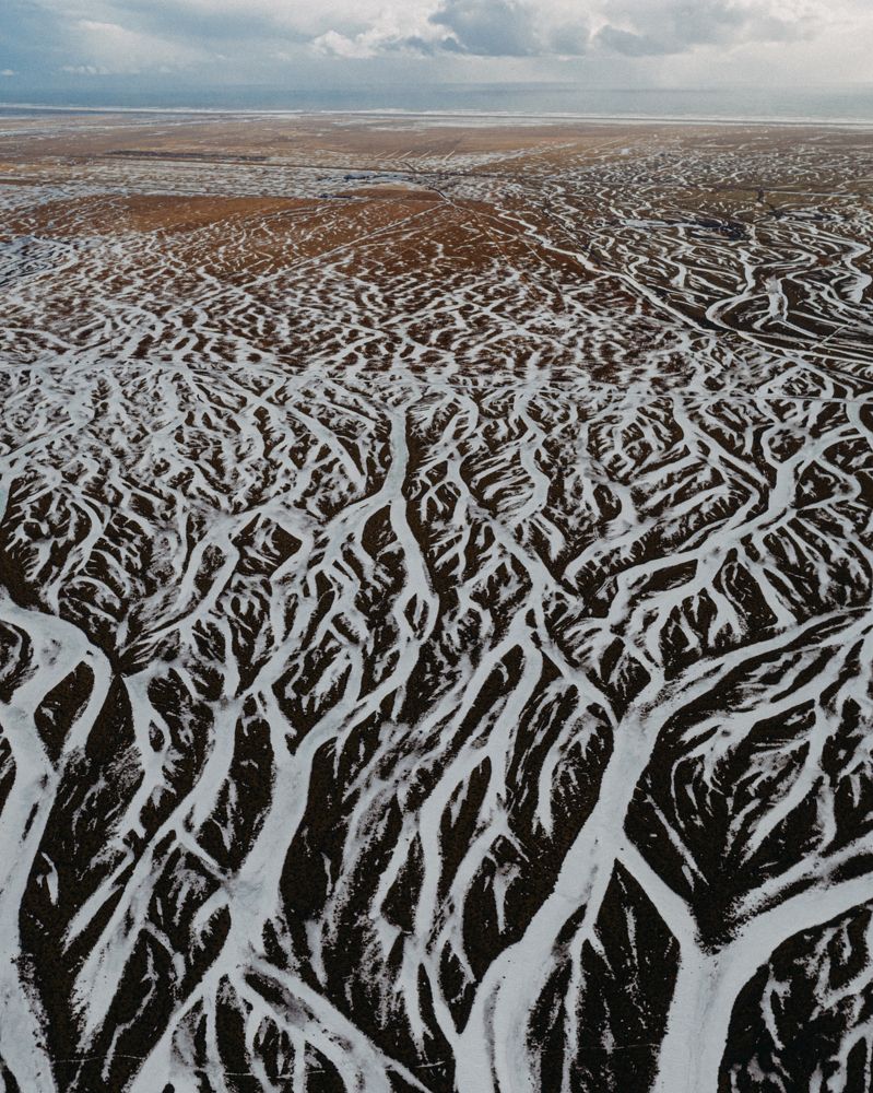 Photograph by Misha Martin