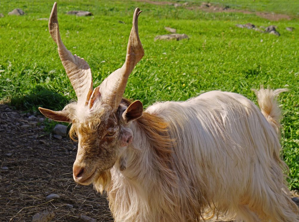 Photograph by Блюмина Елена