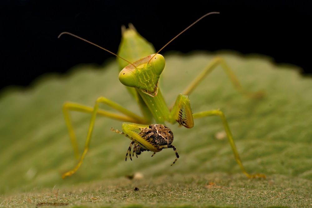Photograph by Sumanta Dutta