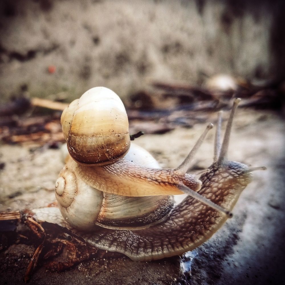 Фотография автора Сергей Побережниченко