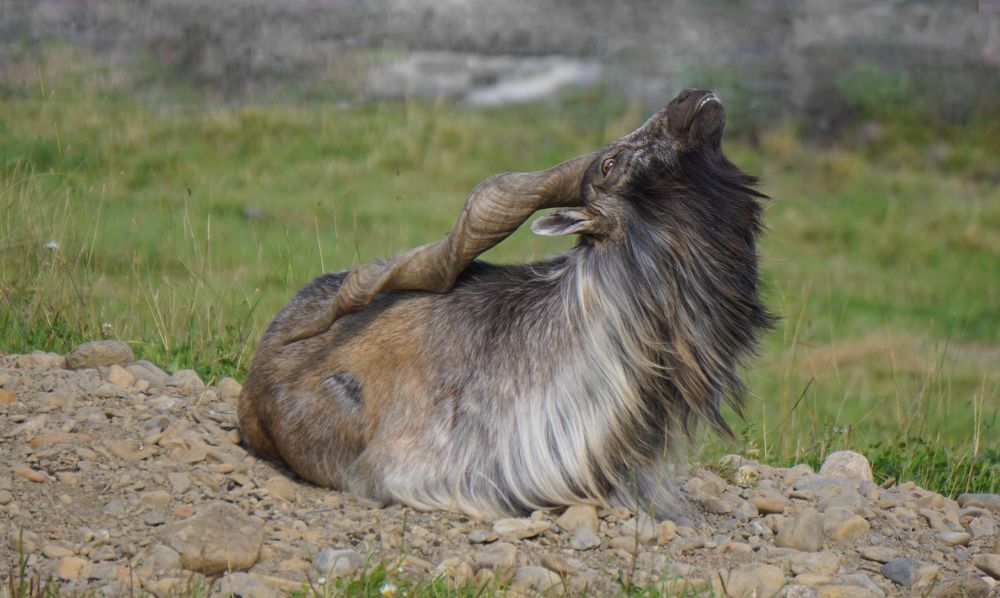 Photograph by Блюмина Елена