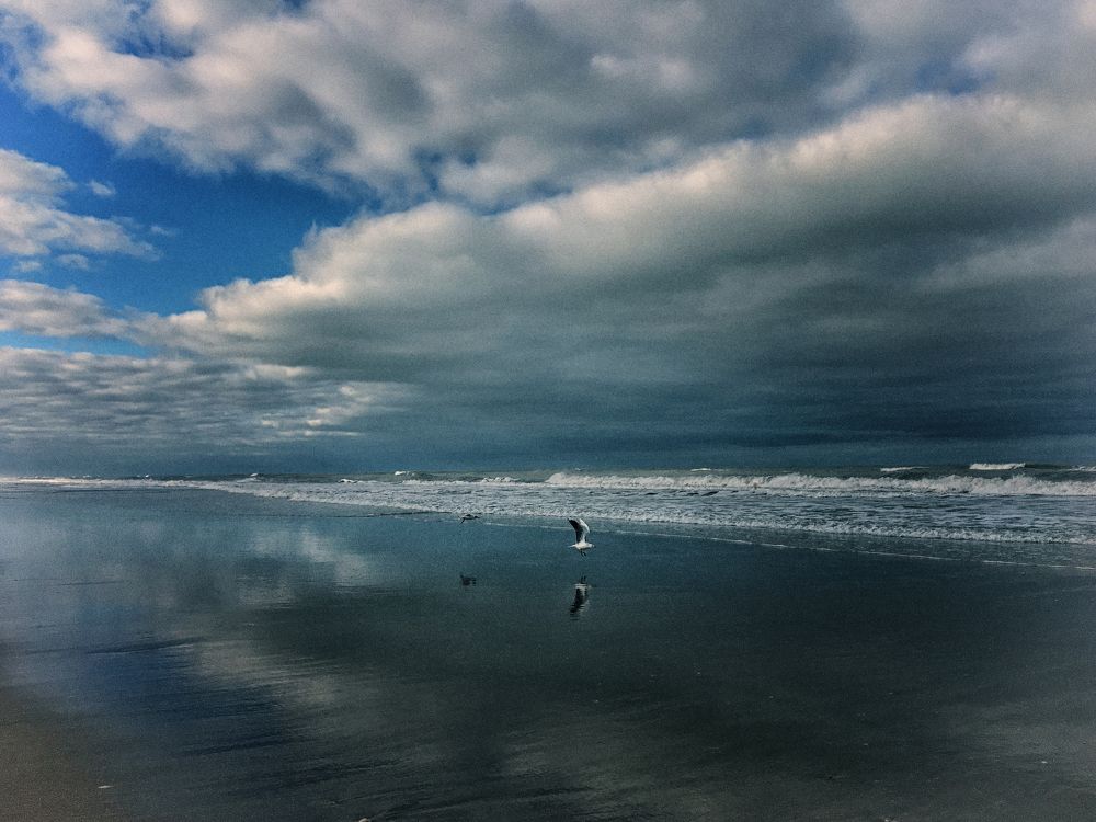 Photograph by Viviana García