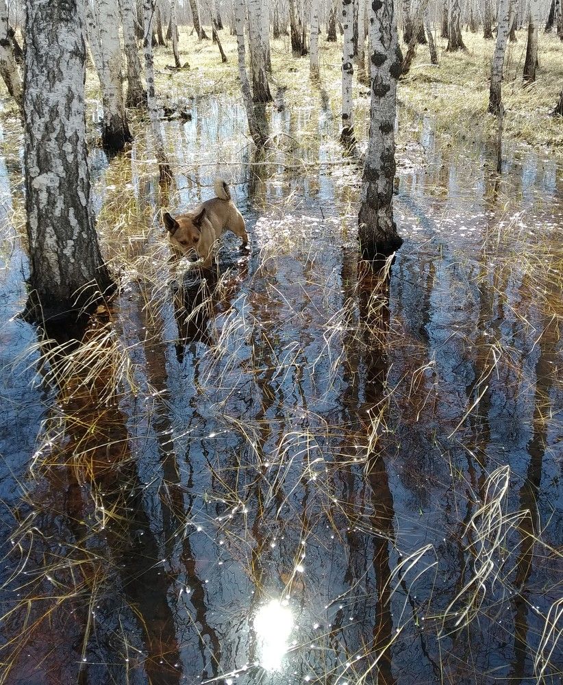 Photograph by Сергей Морозов