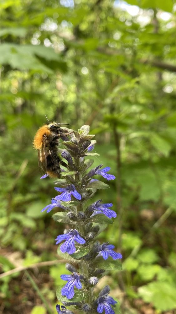 Photograph by Артём Бочкарёв