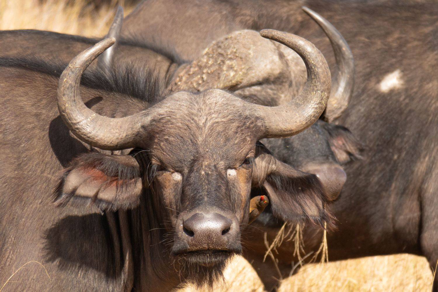 Фотография #6143994