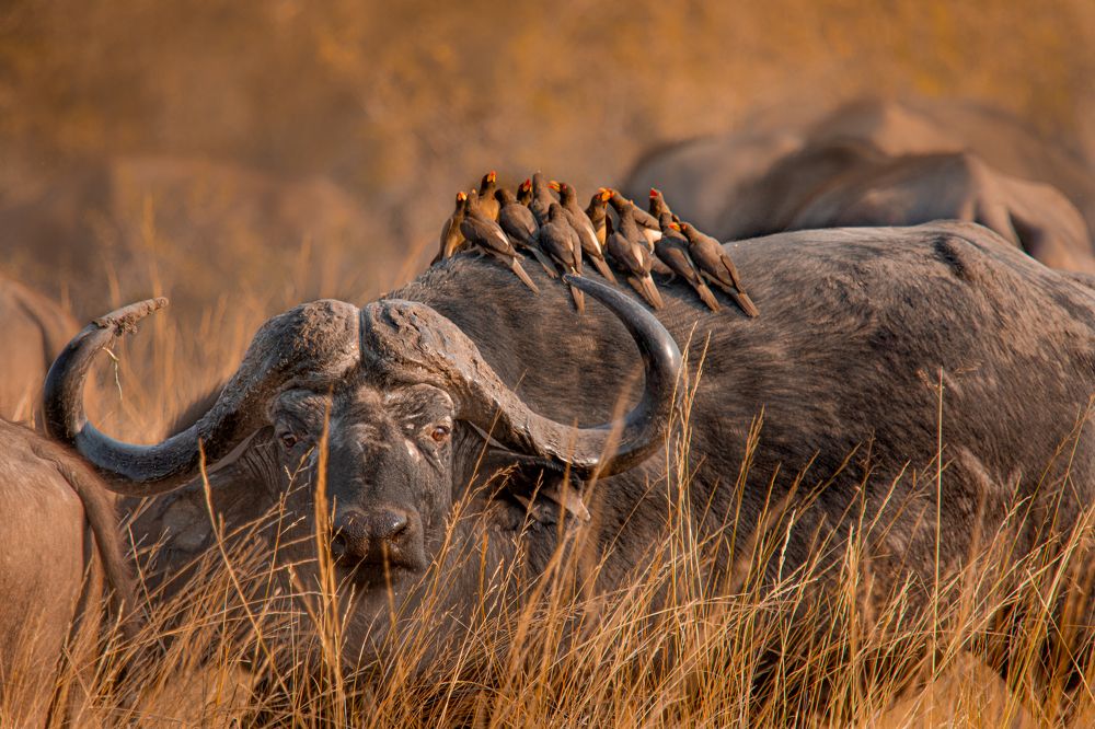 Фотография автора Raquel Barao