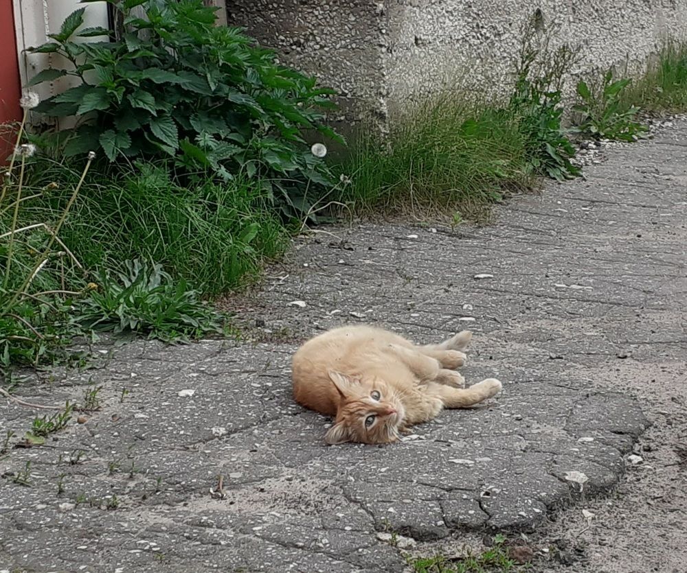 Photograph by Елена Лещева