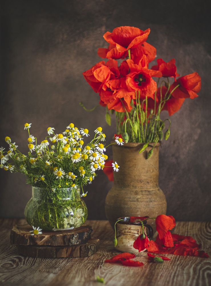 Photograph by Наталья Исиченко