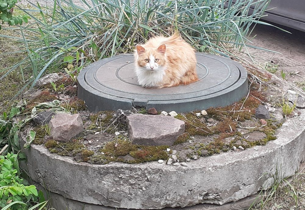 Photograph by Елена Лещева