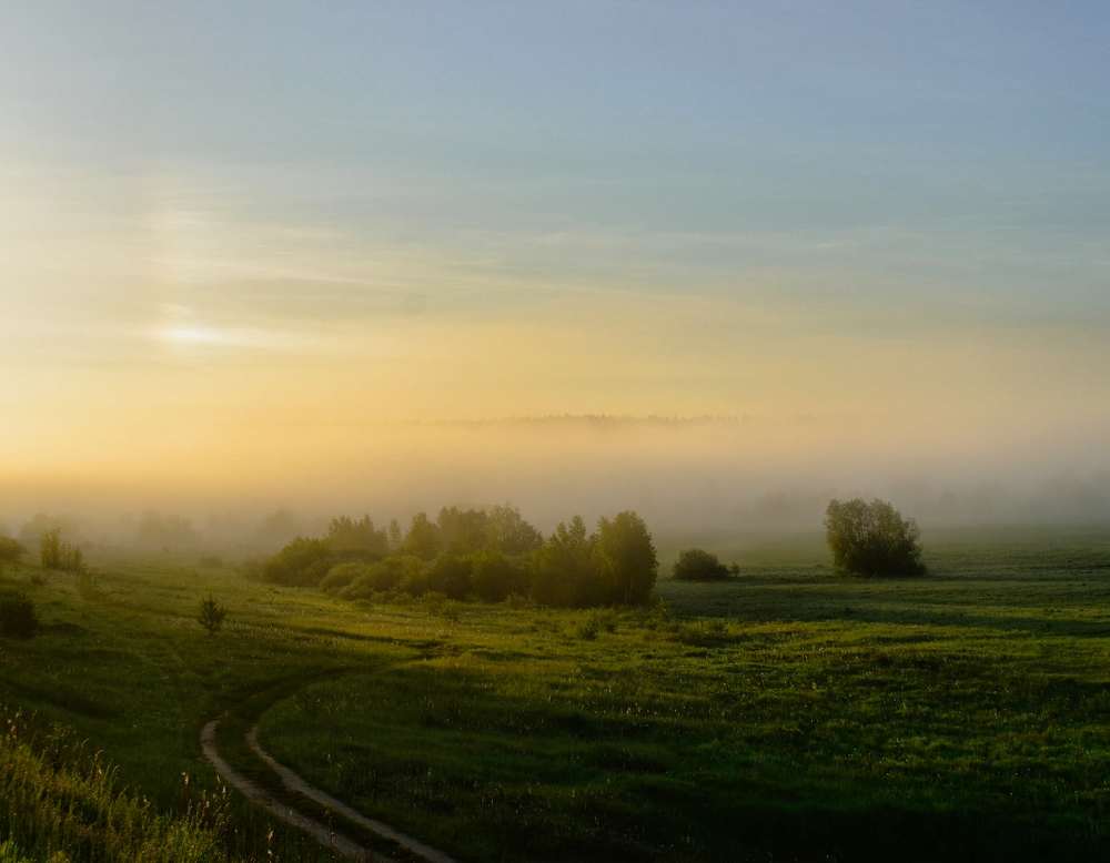 Photograph by Михаил Бородкин