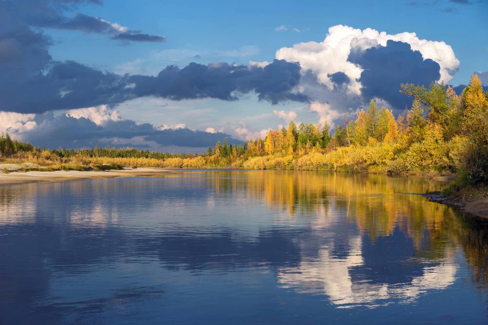 Photograph by Дмитрий Цыпляев