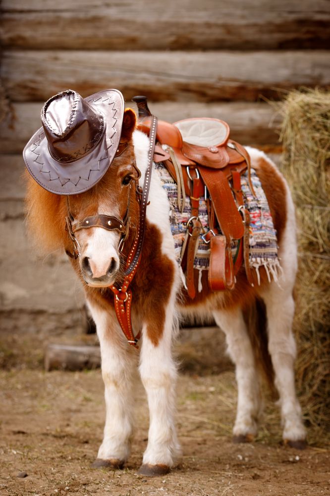 Photograph by Юлия Зориктуева