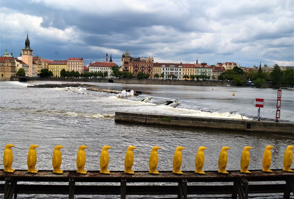 Photograph by Zdeňka Hudcová