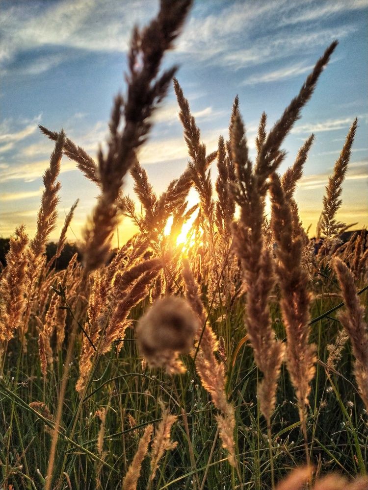 Photograph by Александр Ворона