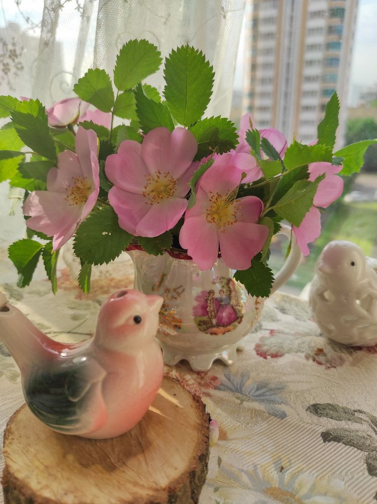 Фотография автора Марина Гусева