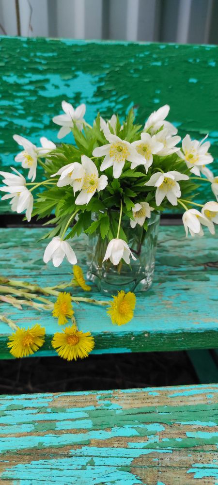 Фотография автора Марина Гусева