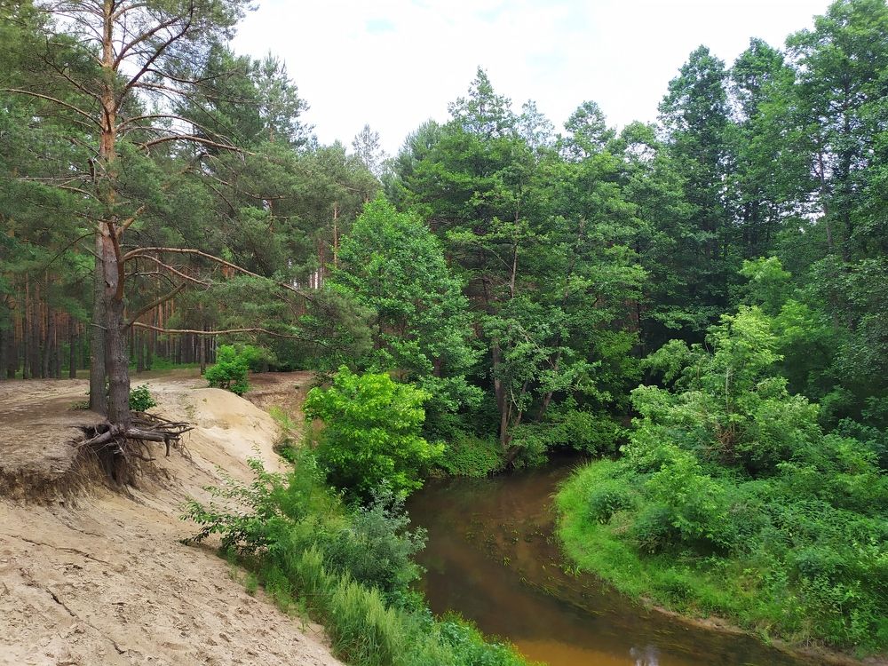 Photograph by Андрей Микулич