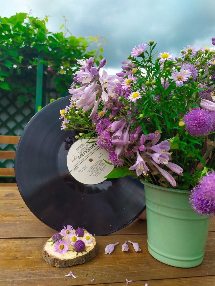 Фотография автора Марина Гусева