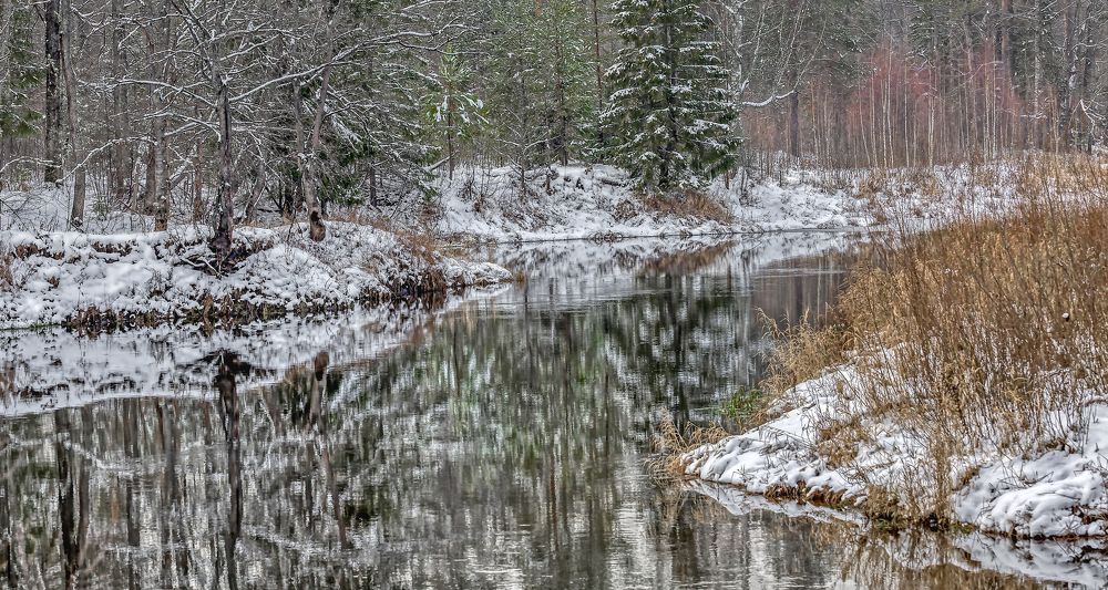 Фотография автора Александр Сальников