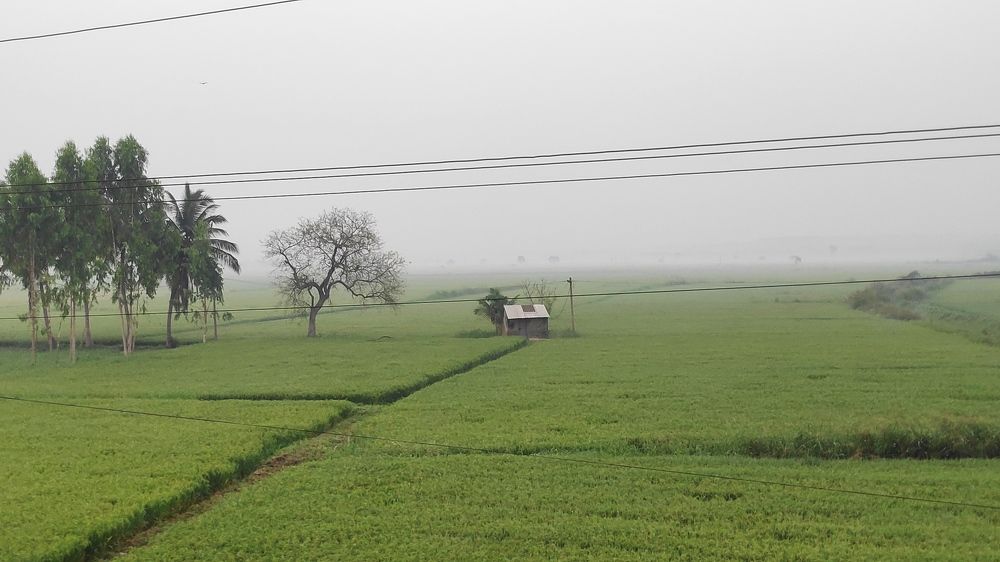 Photograph by Srivarshith Daladuli