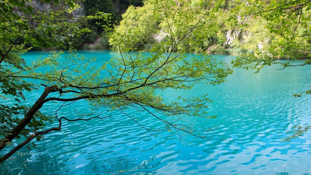 Photograph by Stoyan Baev