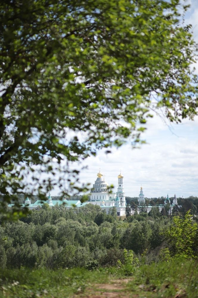 Photograph by Галина Шипухина