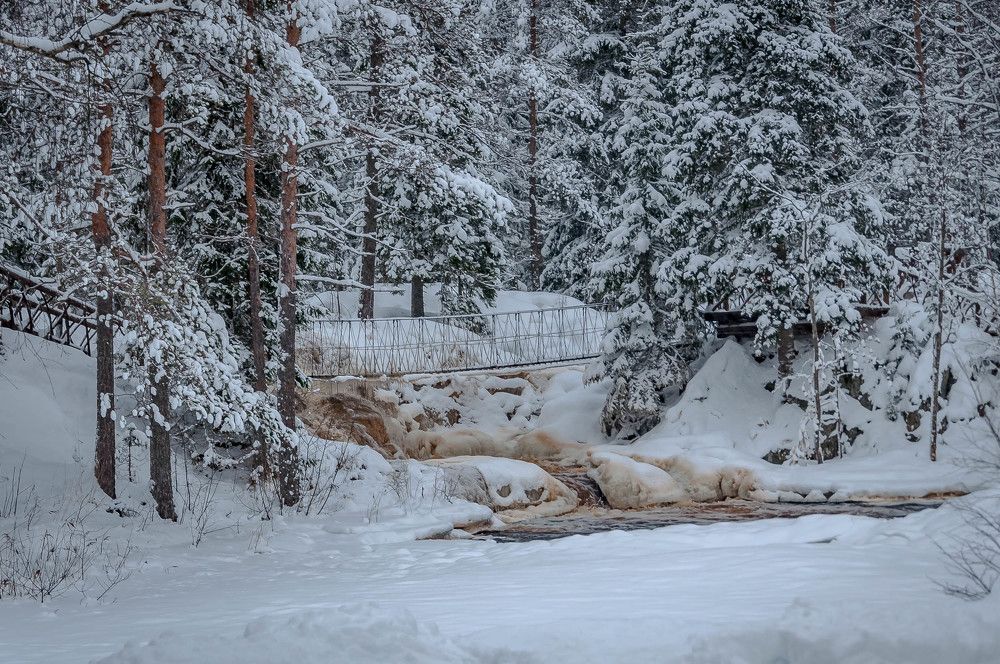 Photograph by Лариса Крышталь